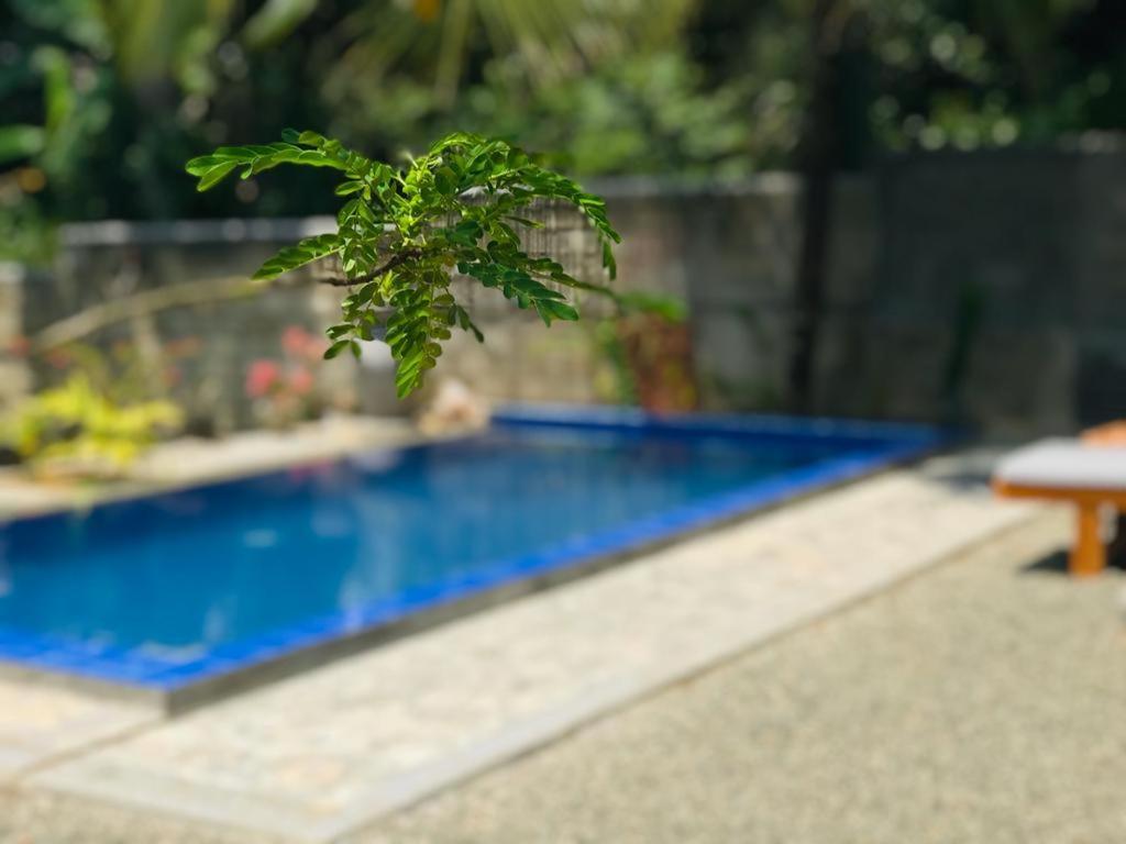 Peaceful Green Villa Унаватуна Екстериор снимка